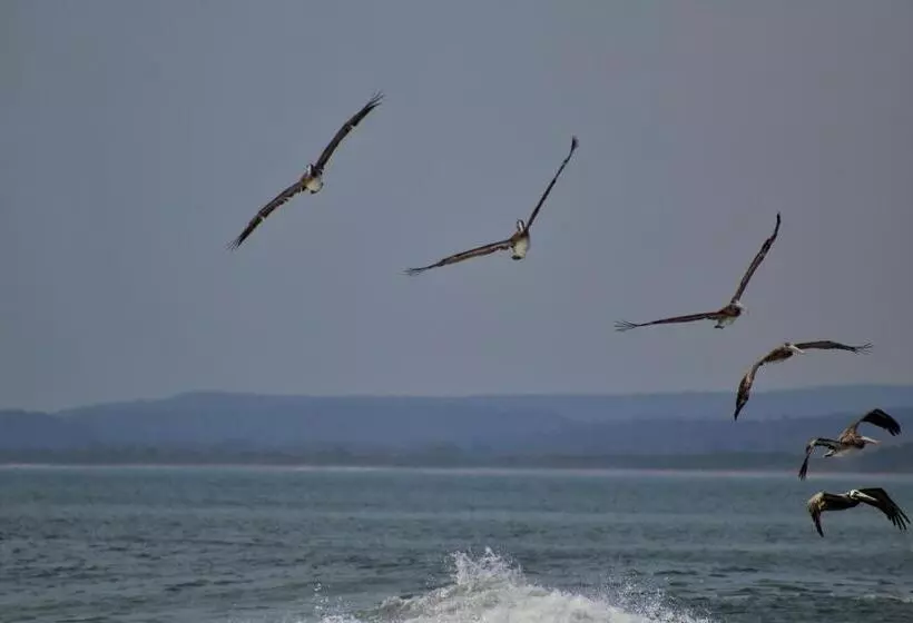 San Marcos 124 Gran Pacifica Resort