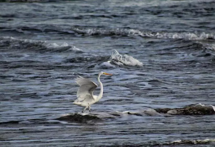 San Marcos 124 Gran Pacifica Resort