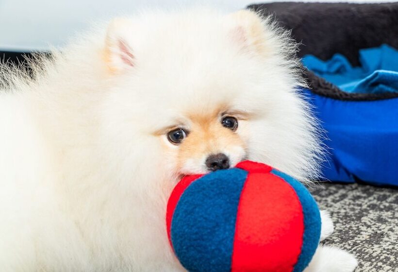 هتل Ghl Collection 93