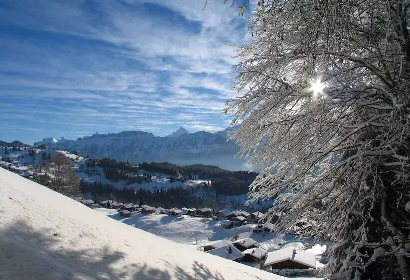 فندق Harder Minerva