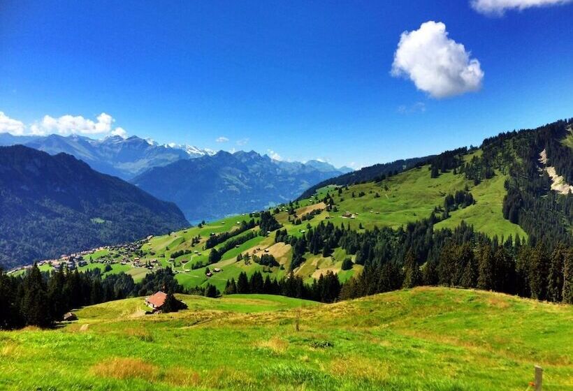 هتل Harder Minerva