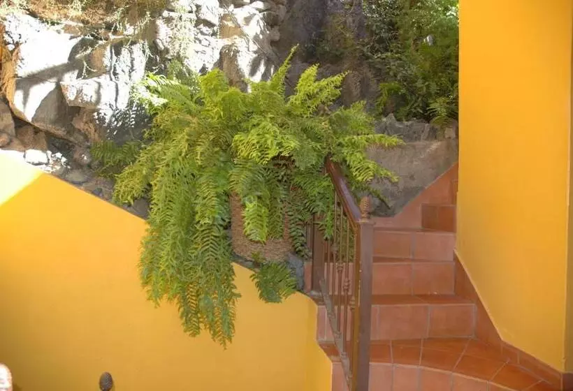 ホテル Jardín Concha