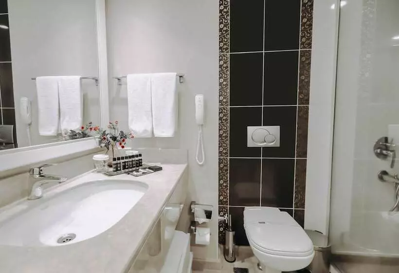 בית מלון כפרי New Park