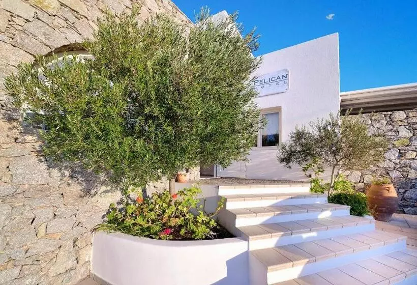 בית מלון כפרי Pelican