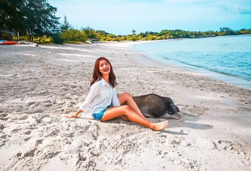 Отель Avani Plus Samui Resort