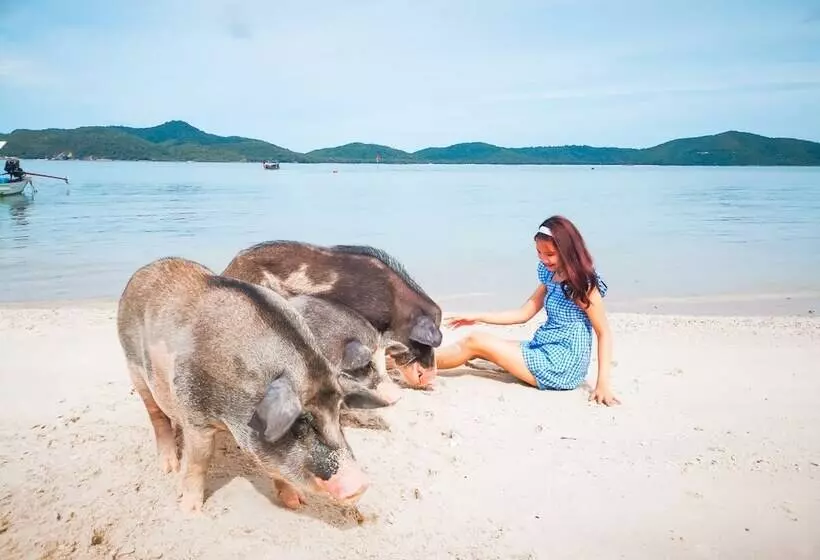 호텔 Avani Plus Samui Resort