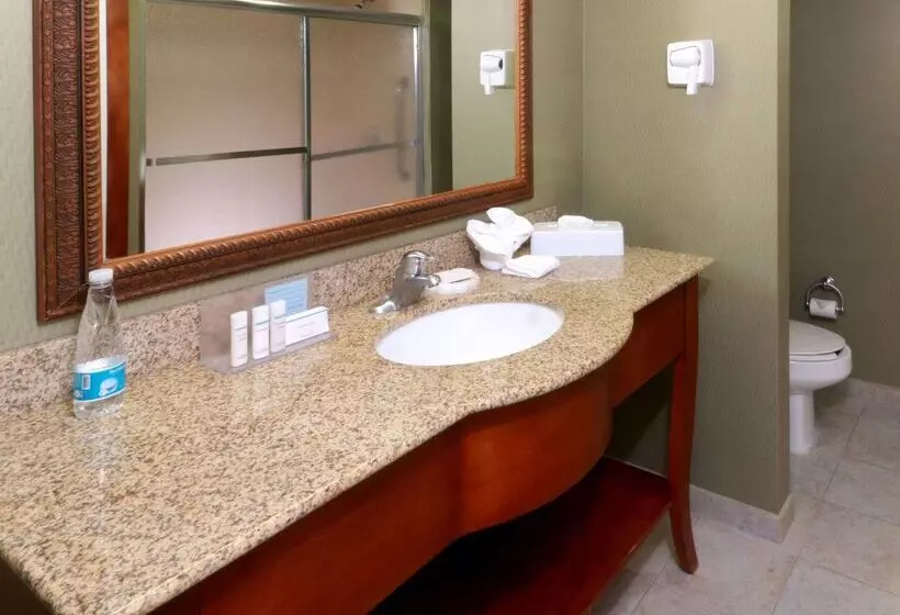 酒店 Hampton Inn By Hilton Reynosa/zona Industrial