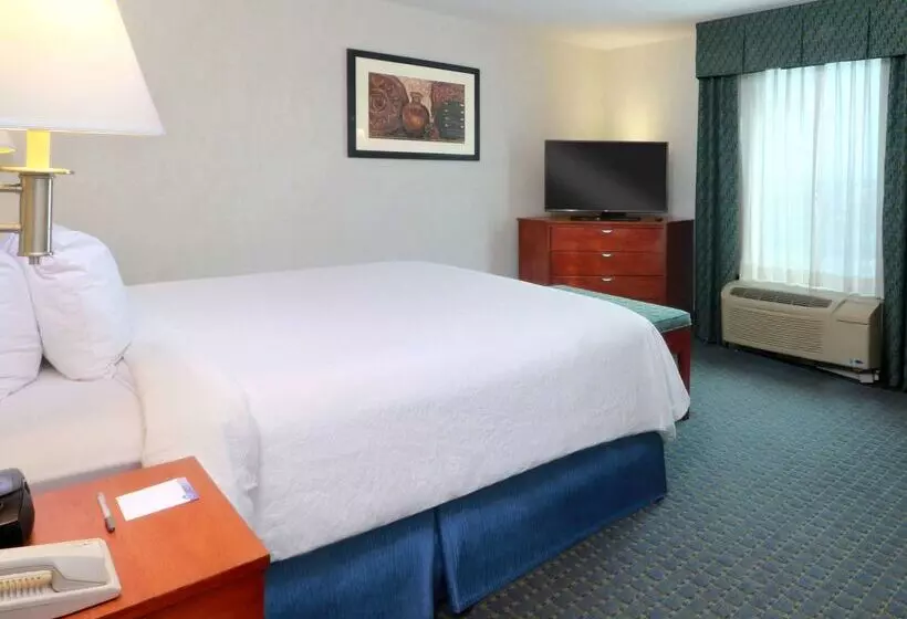 酒店 Hampton Inn By Hilton Reynosa/zona Industrial