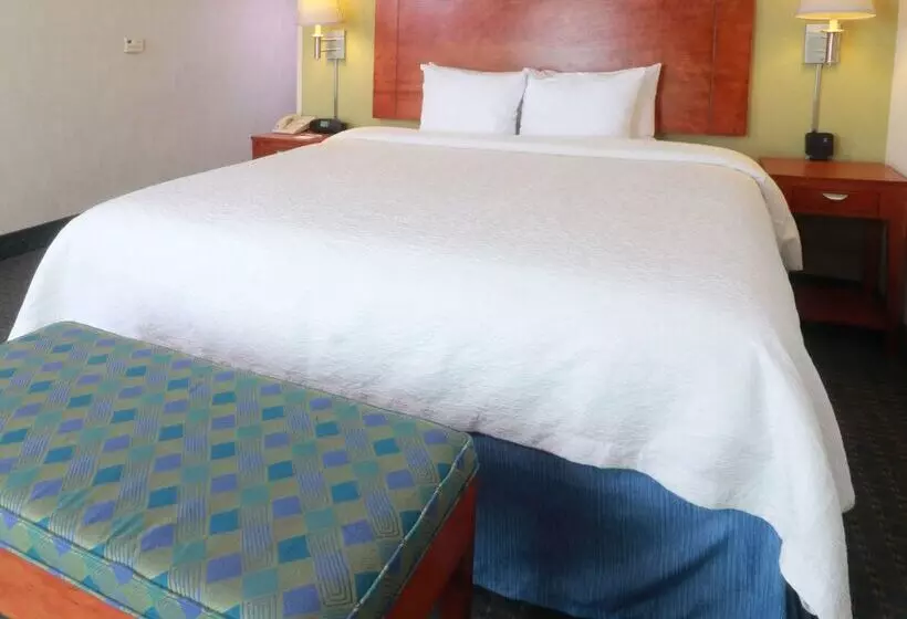 酒店 Hampton Inn By Hilton Reynosa/zona Industrial