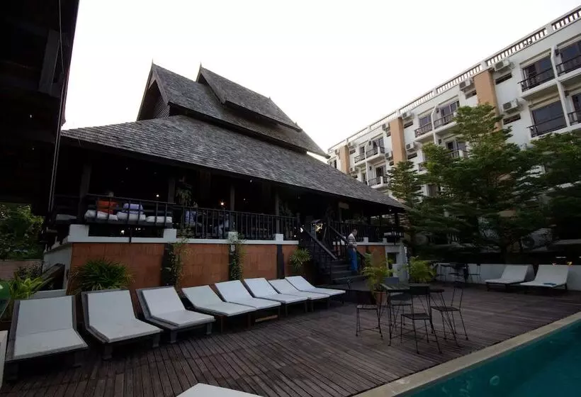 Отель Rainforest Chiangmai