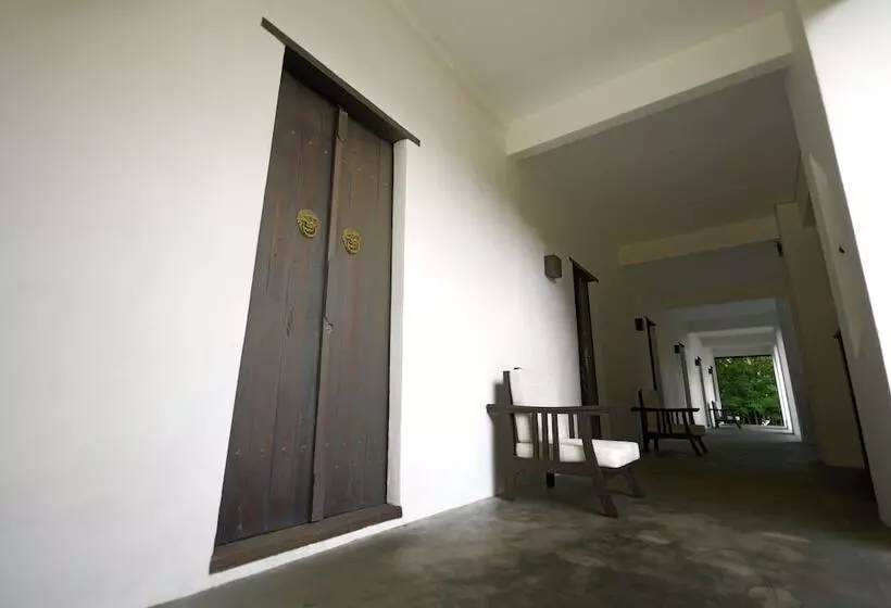 Отель Rainforest Chiangmai