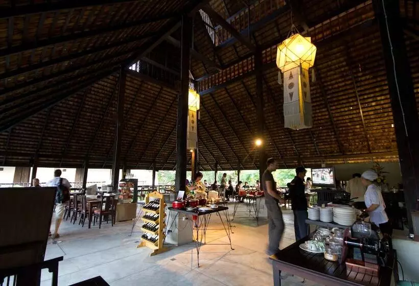 Отель Rainforest Chiangmai