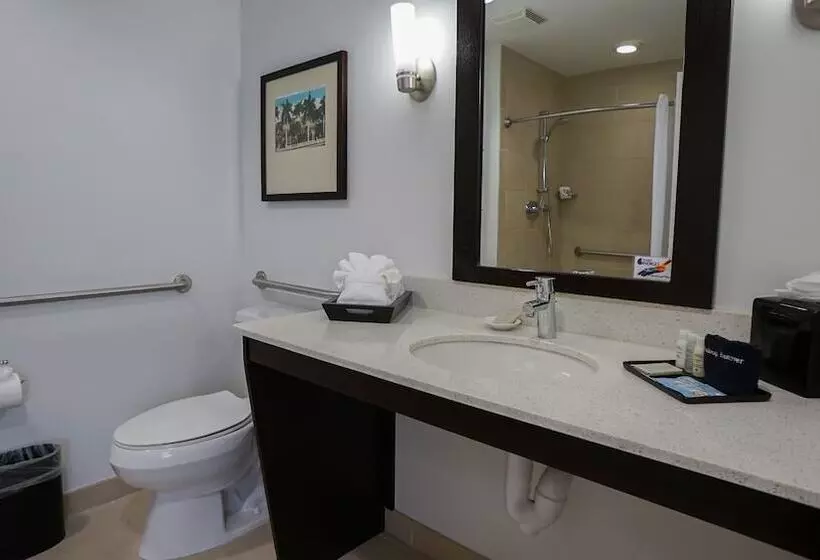 The Banyan Hotel Fort Myers, Tapestry Collection By Hilton