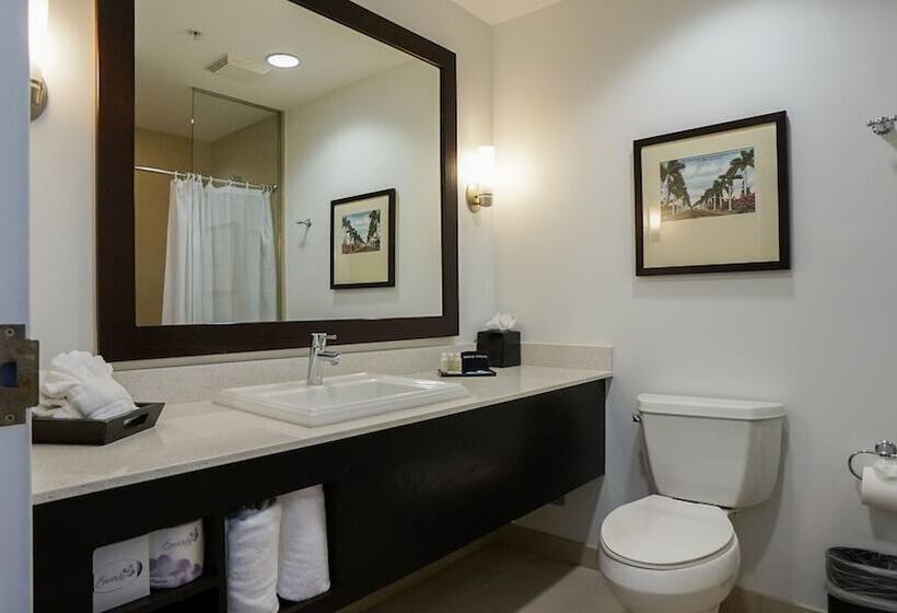 The Banyan Hotel Fort Myers, Tapestry Collection By Hilton