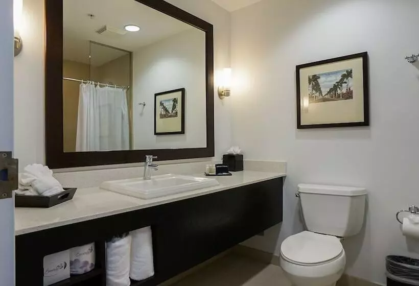 The Banyan Hotel Fort Myers, Tapestry Collection By Hilton