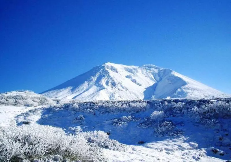 Higashikawa Asahidake Onsen Hotel Bear Monte