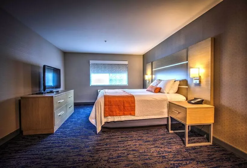 هتل Best Western Plus Media Center Inn & Suites