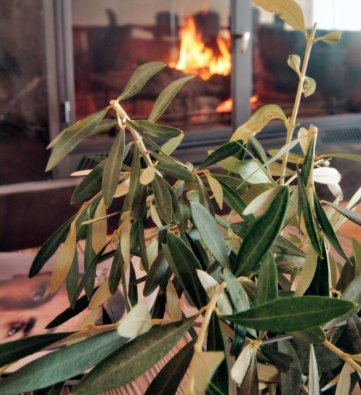 בית מלון כפרי El Convent 1613