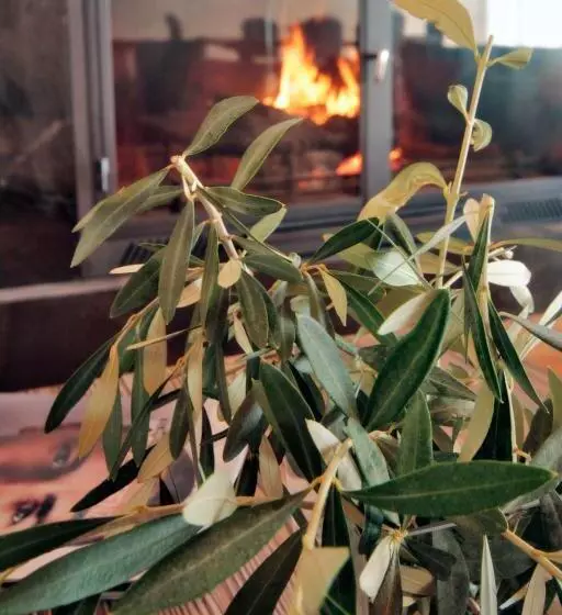 Hotel El Convent 1613