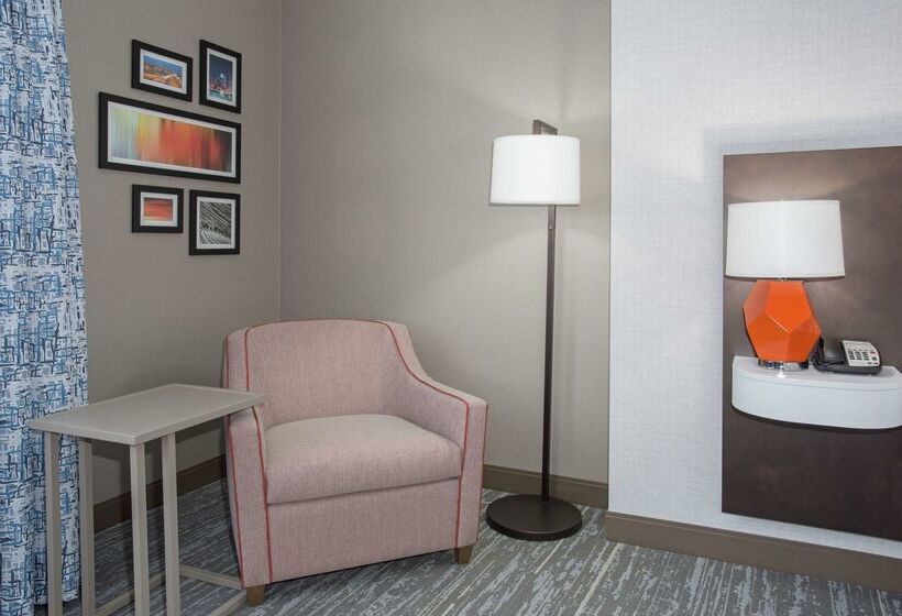 هتل Hampton Inn & Suites Denverdowntown