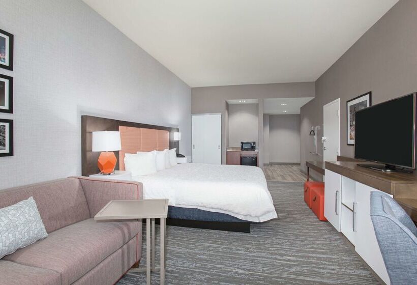 هتل Hampton Inn & Suites Denverdowntown