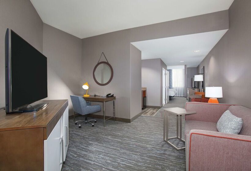 هتل Hampton Inn & Suites Denverdowntown