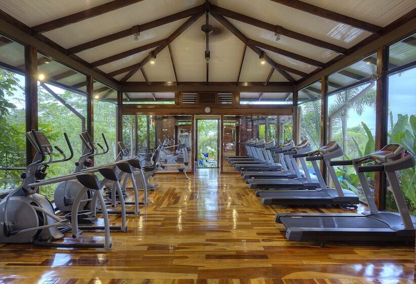 ホテル Nayara Gardens