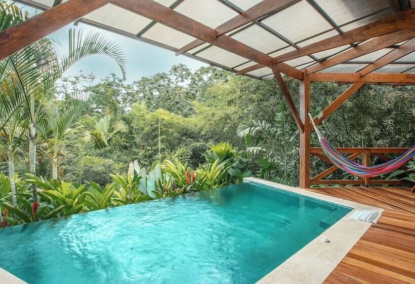 ホテル Nayara Gardens