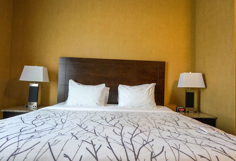 בית מלון כפרי Best Western Plus South Edmonton Inn & Suites