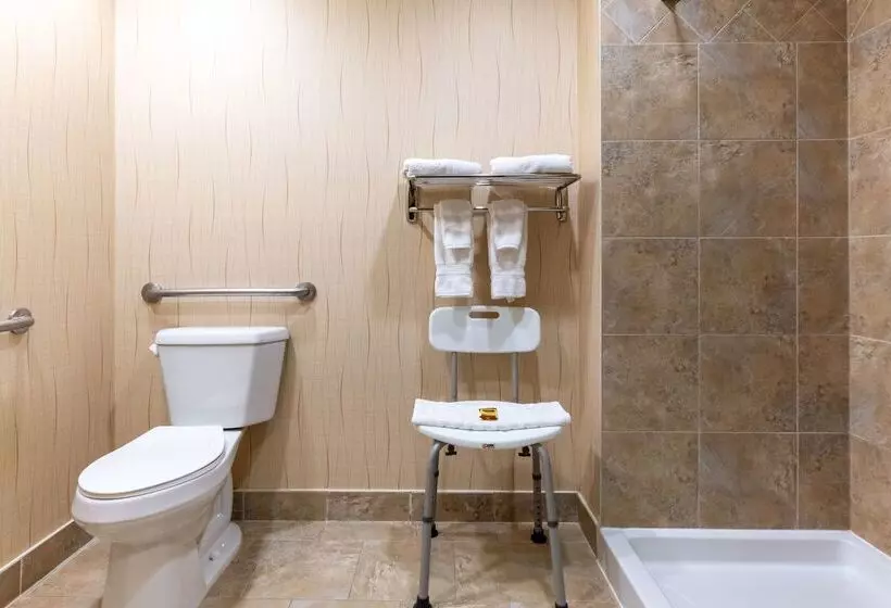 Отель Best Western Plus South Edmonton Inn & Suites