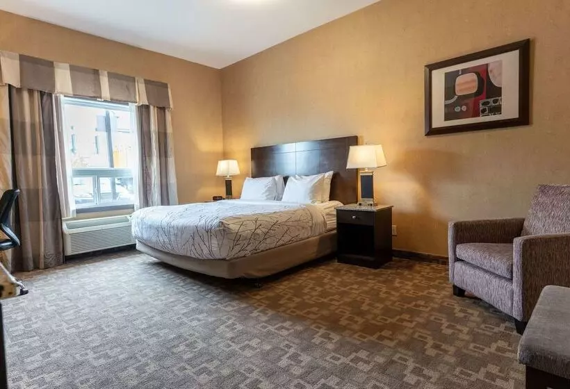 Отель Best Western Plus South Edmonton Inn & Suites
