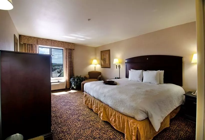 ホテル Hampton Inn & Suites Gallup