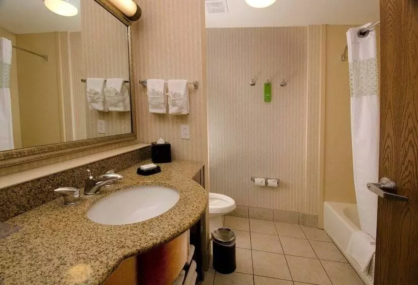 ホテル Hampton Inn & Suites Gallup