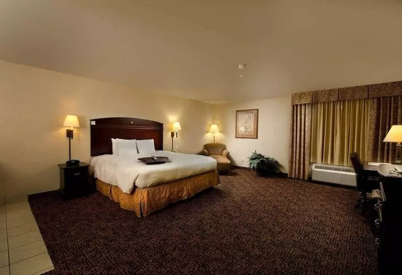 ホテル Hampton Inn & Suites Gallup