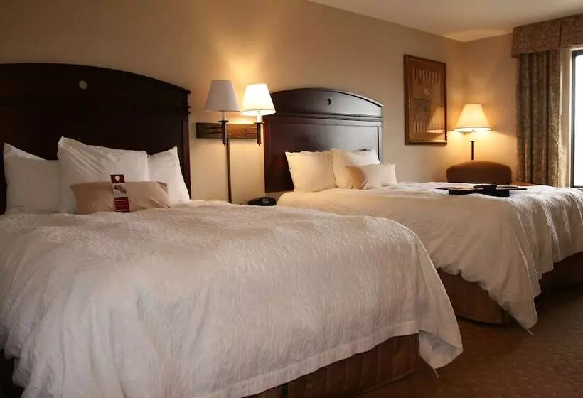 ホテル Hampton Inn & Suites Gallup