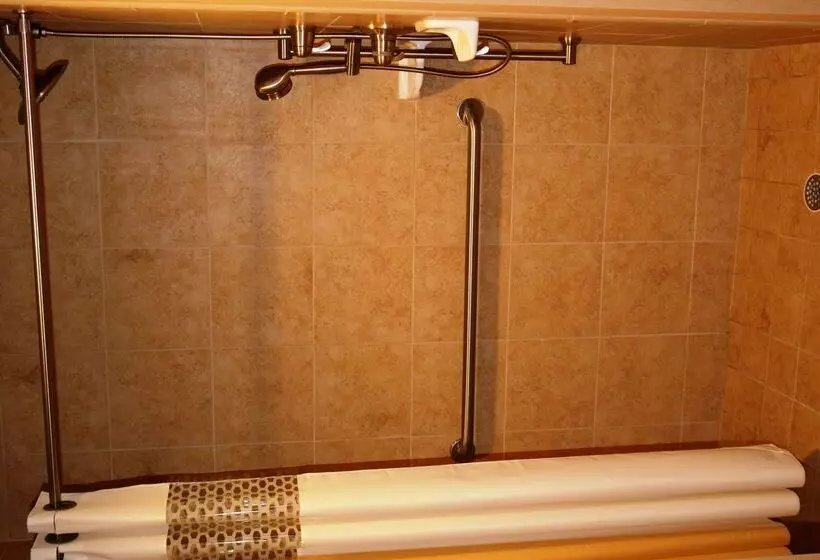 בית מלון כפרי Hampton Inn & Suites Ocala   Belleview