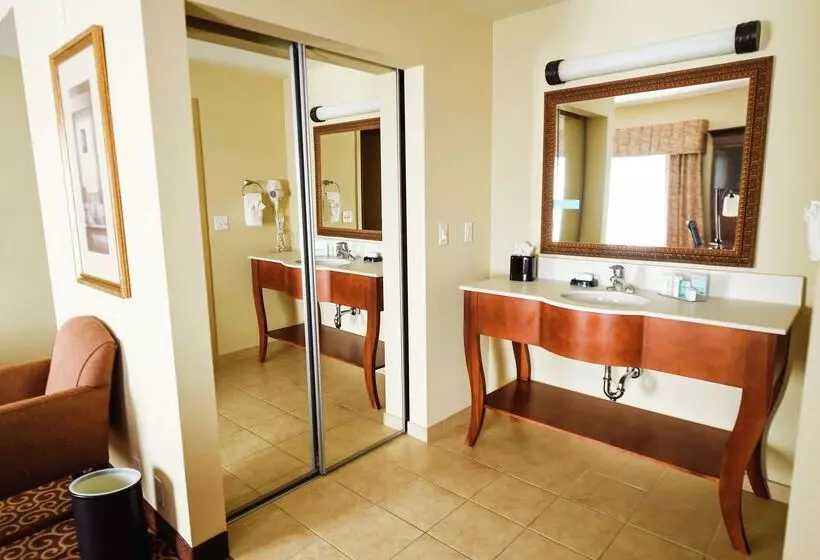 בית מלון כפרי Hampton Inn & Suites Ocala   Belleview