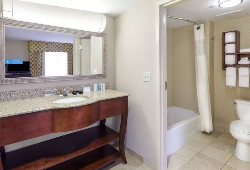 בית מלון כפרי Hampton Inn Moss Point Pascagoula