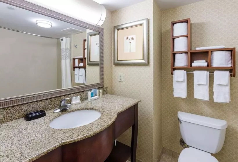 בית מלון כפרי Hampton Inn Moss Point Pascagoula