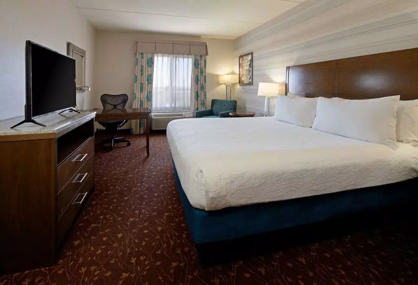 فندق Hilton Garden Inn Albuquerque Airport