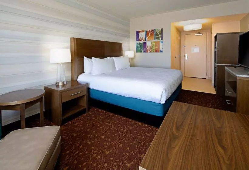 فندق Hilton Garden Inn Albuquerque Airport