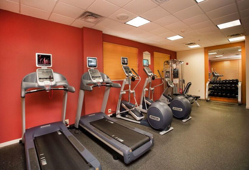 ホテル Hilton Garden Inn Athens Downtown