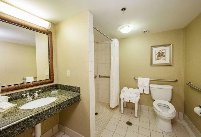 ホテル Hilton Garden Inn Athens Downtown