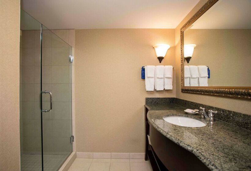 ホテル Hilton Garden Inn Athens Downtown