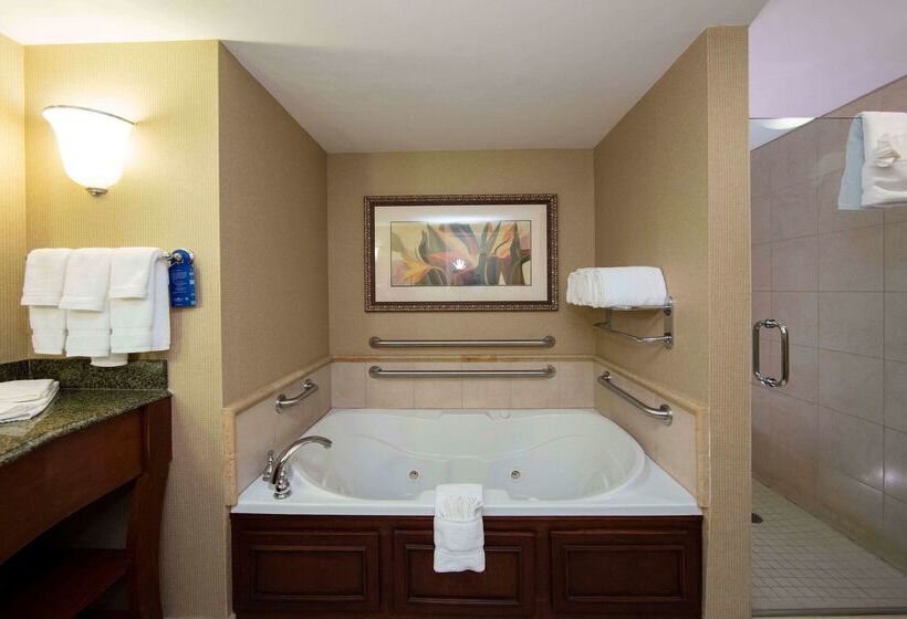 ホテル Hilton Garden Inn Athens Downtown