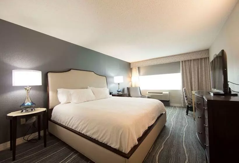 ホテル Hilton Garden Inn Athens Downtown