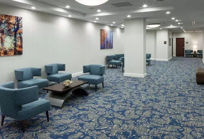 בית מלון כפרי Hilton Garden Inn Denver Downtown