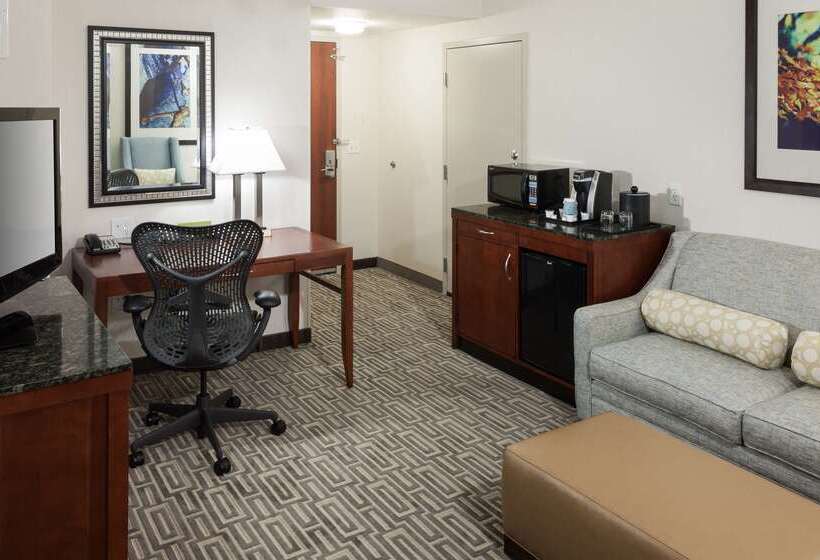 فندق Hilton Garden Inn Denver Downtown