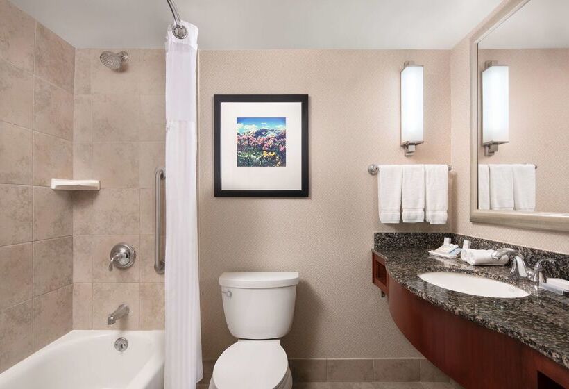فندق Hilton Garden Inn Denver Downtown