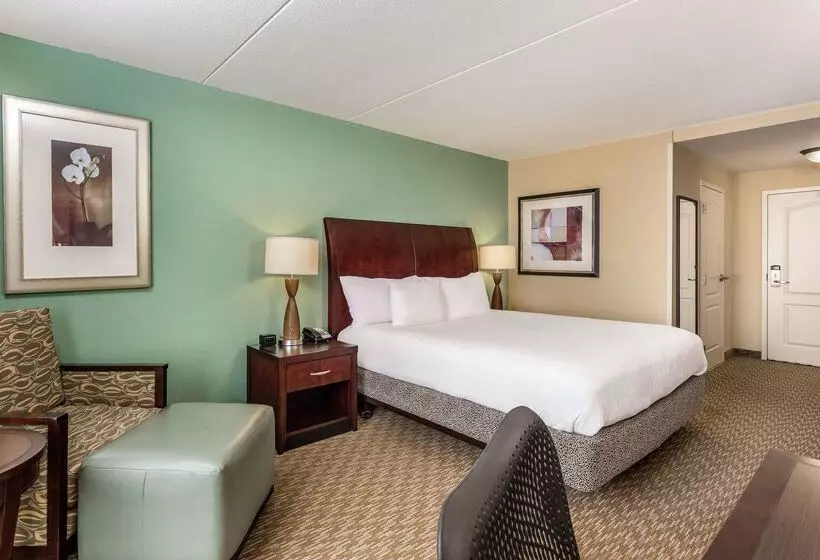 酒店 Hilton Garden Inn Gainesville